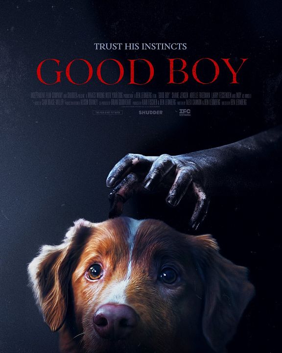 Good Boy : Afiş