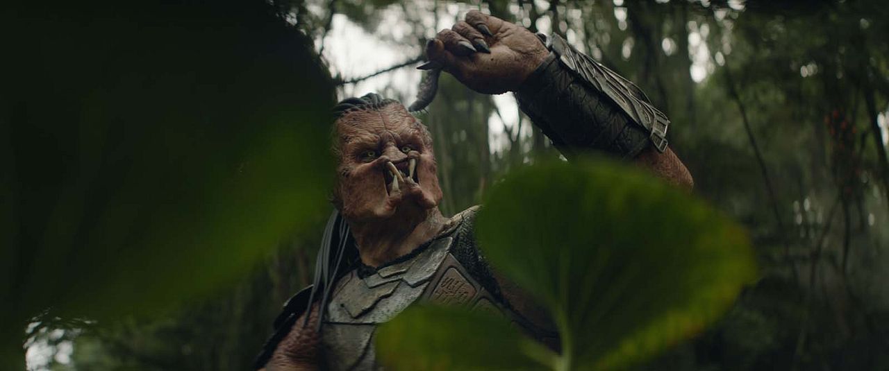 Predator: Vahşi Topraklar : Fotoğraf Dimitrius Schuster-Koloamatangi