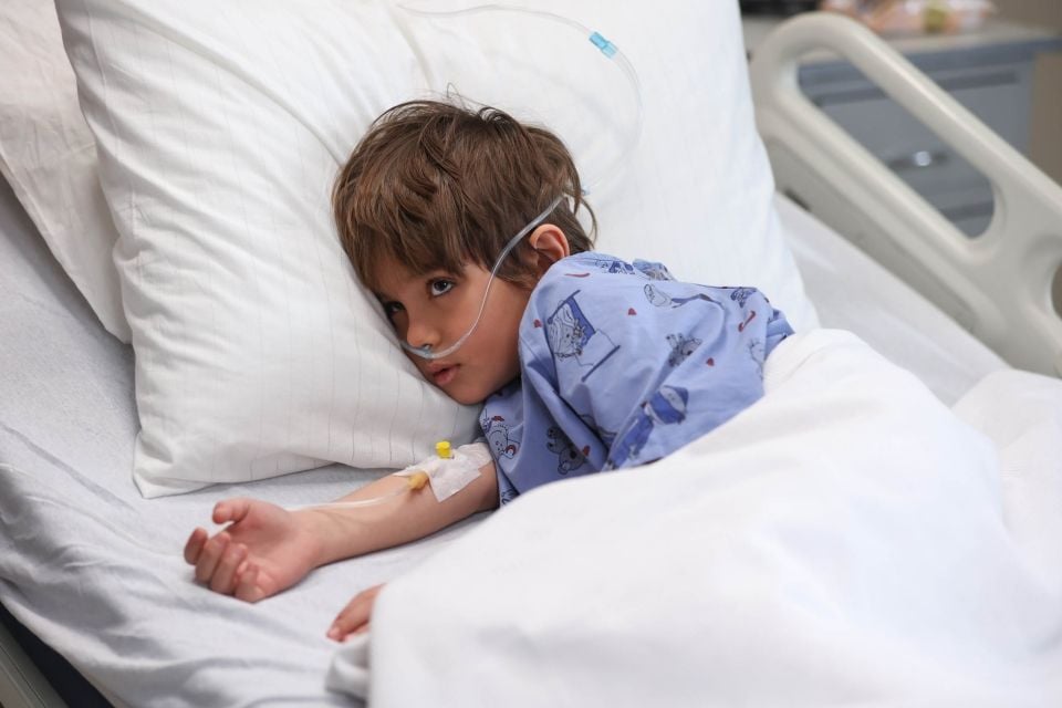 Sustalı Ceylan : Fotoğraf