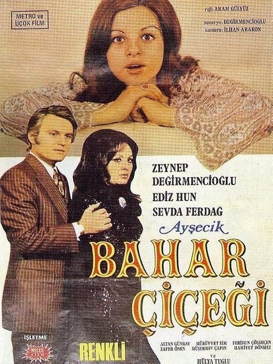 Ayşecik Bahar Çiçeği : Afiş
