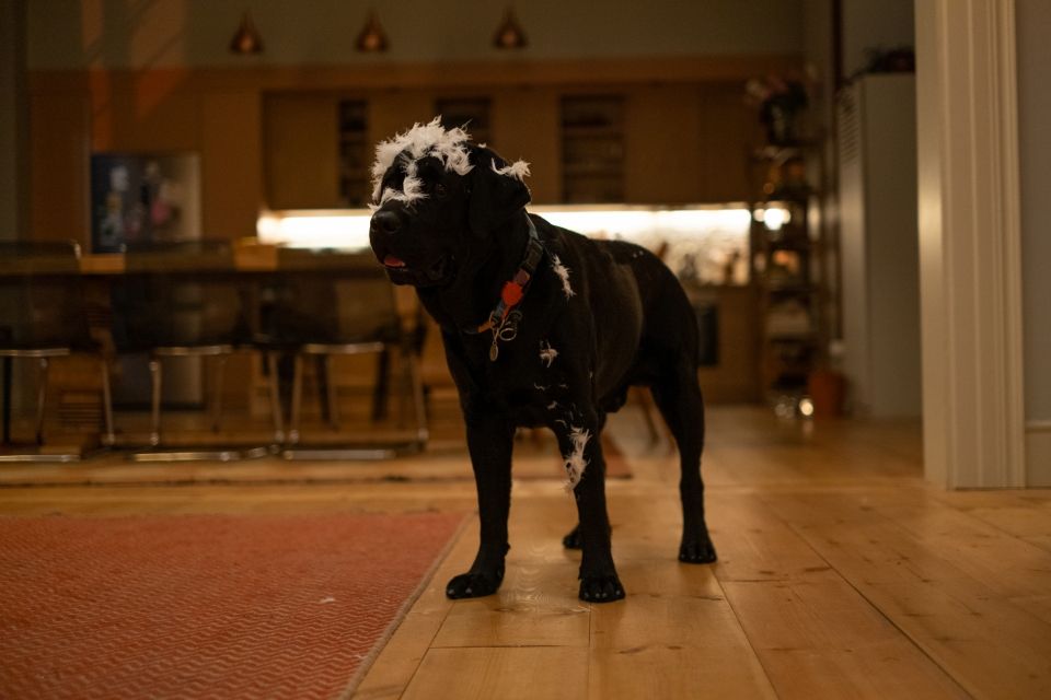 Kimler Geldi Kimler Geçti : Fotoğraf