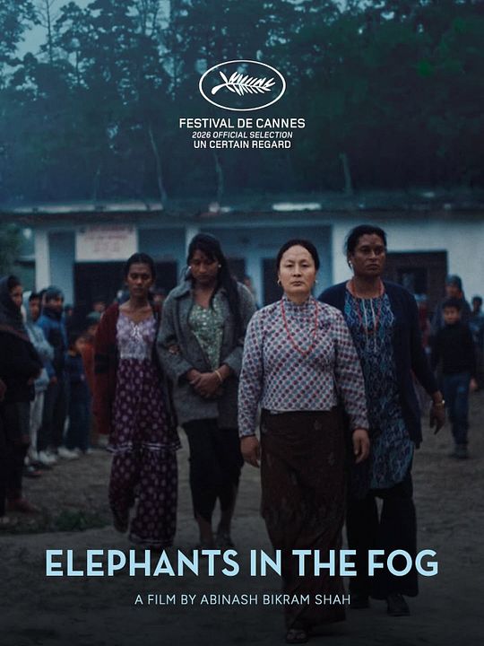 Elephants in the Fog : Afiş