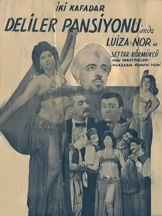 İki Kafadar Deliler Pansiyonunda : Afiş