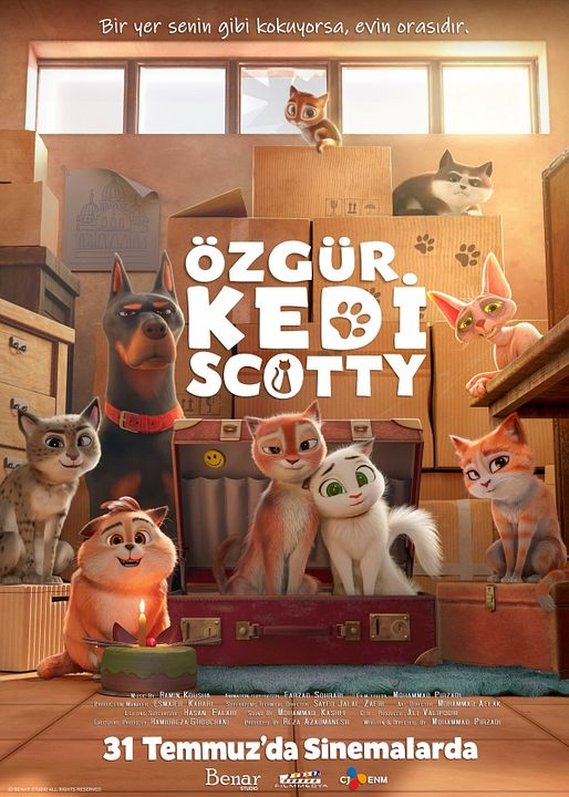 Özgür Kedi Scotty : Afiş