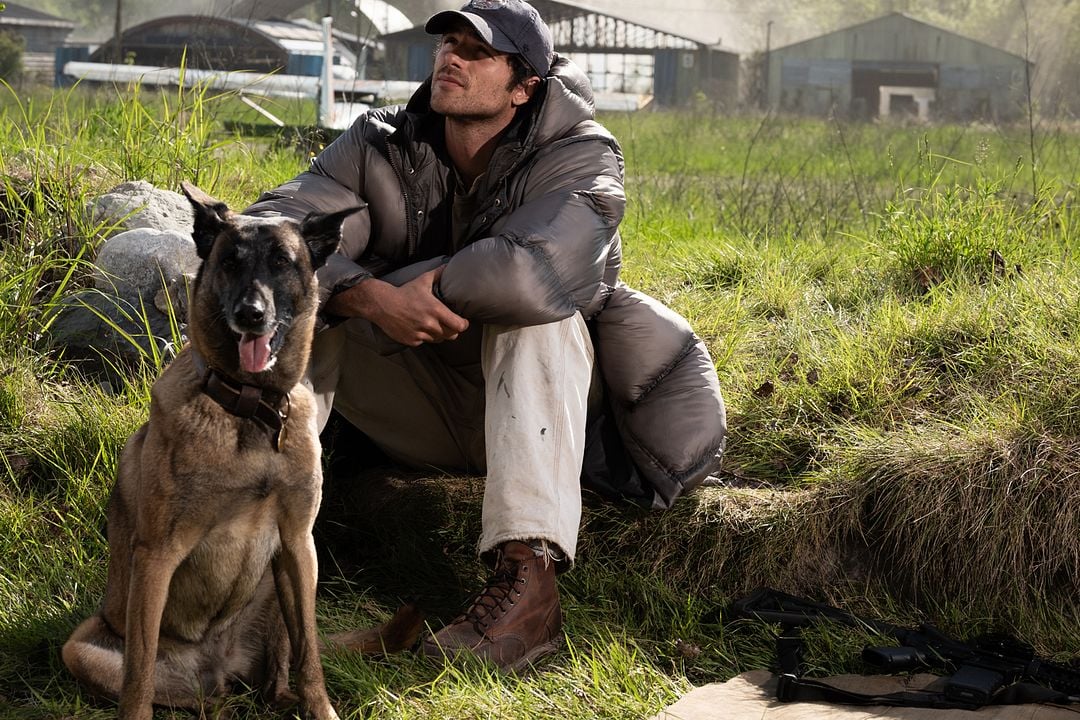Köpek ve Yıldızlar : Fotoğraf Jacob Elordi