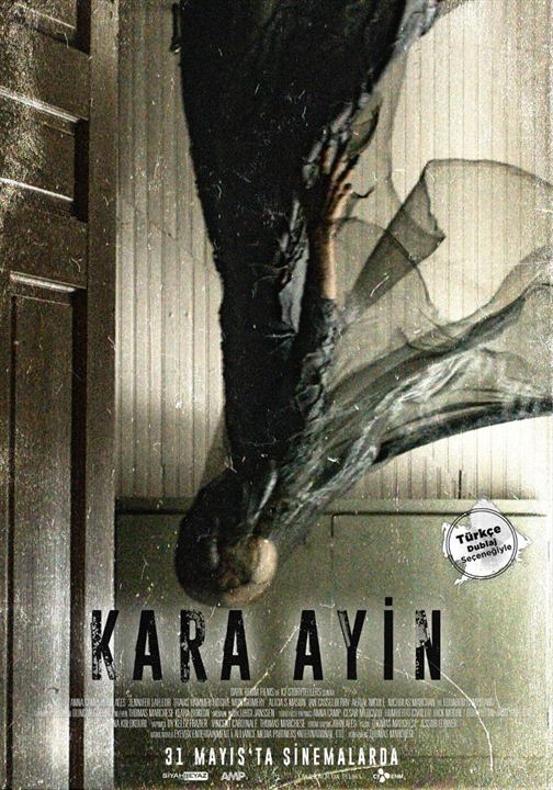 Kara Ayin : Afiş