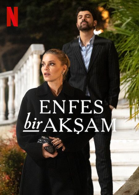 Enfes Bir Akşam : Afiş