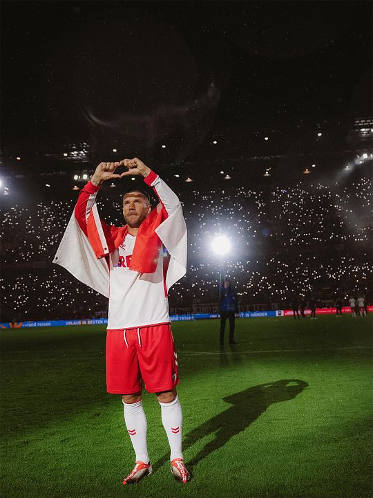 Poldi : Afiş