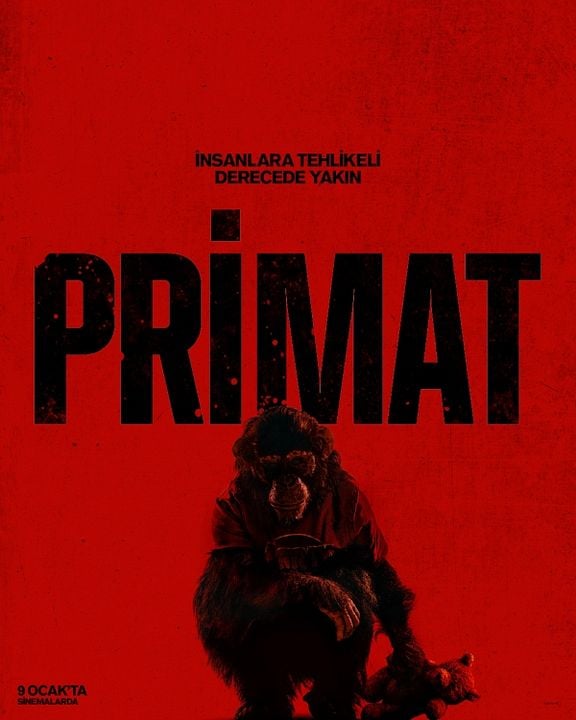 Primat : Afiş