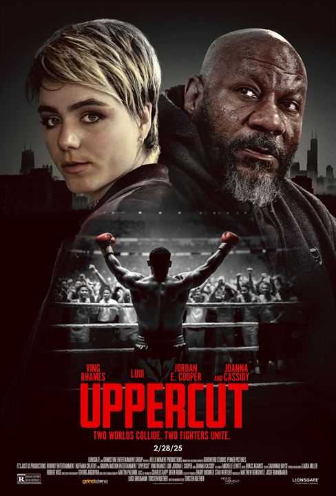 Uppercut : Afiş