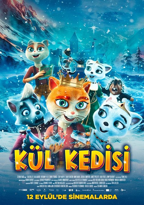 Kül Kedisi : Afiş