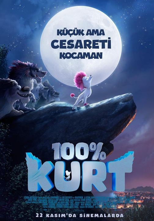 %100 Kurt : Afiş