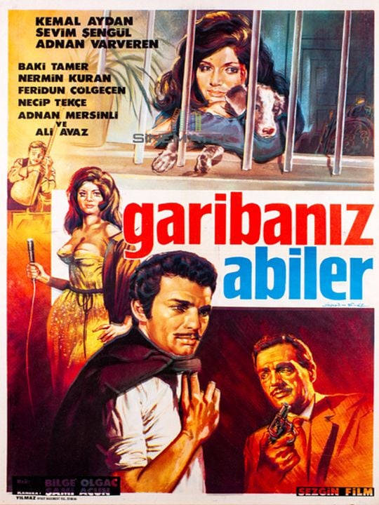 Garibanız Abiler : Afiş