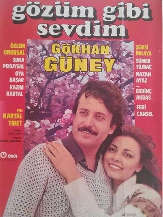 Gözüm Gibi Sevdim : Afiş
