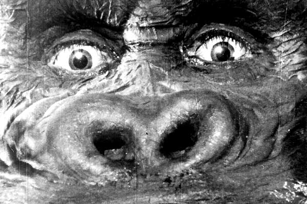 King Kong : Fotoğraf Merian C. Cooper, Ernest B. Schoedsack