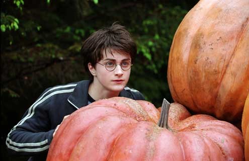 Harry Potter ve Azkaban Tutsağı : Fotoğraf Daniel Radcliffe, Alfonso Cuarón
