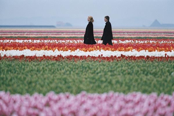 Meleğim : Fotoğraf Vincent Rottiers, Vanessa Paradis, Serge Frydman