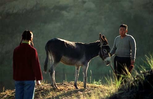 Fotoğraf Wang Chao