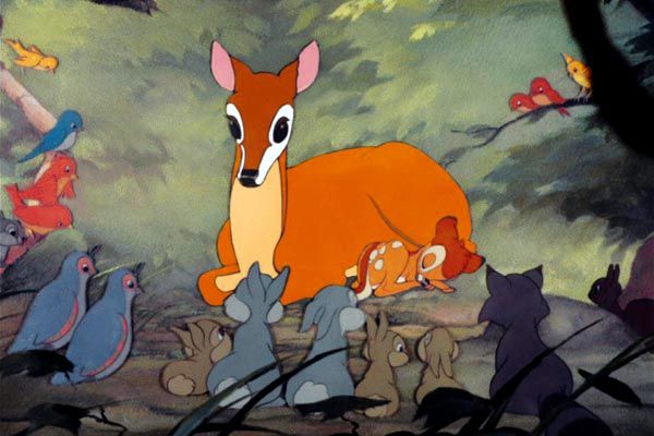 Bambi : Fotoğraf