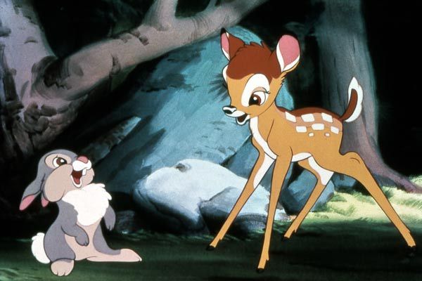 Bambi : Fotoğraf