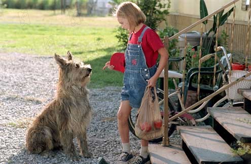 Because of Winn-Dixie : Fotoğraf Wayne Wang, AnnaSophia Robb