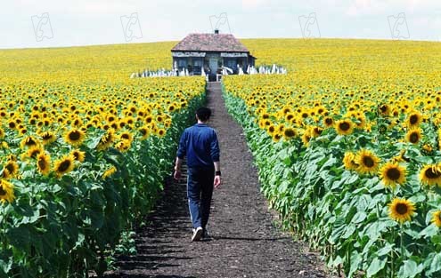 Everything Is Illuminated : Fotoğraf Liev Schreiber