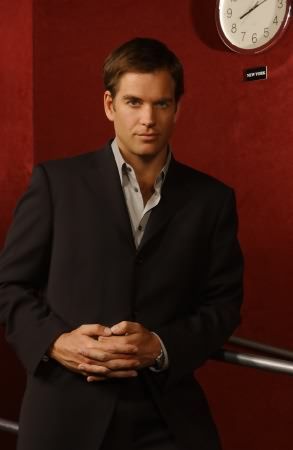 Fotoğraf Michael Weatherly