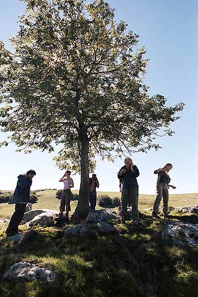 Fotoğraf Coline Serreau