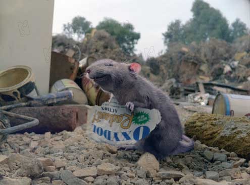 Minik Örümcek Şarlot : Fotoğraf Gary Winick