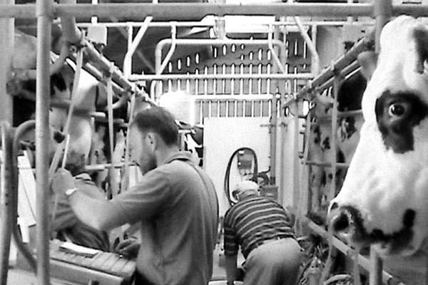 Fotoğraf Pierre Creton