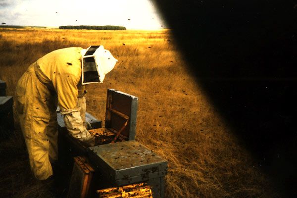 Fotoğraf Peter Hoffmann