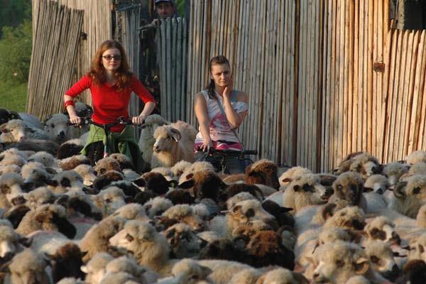 Fotoğraf Maria Popistasu