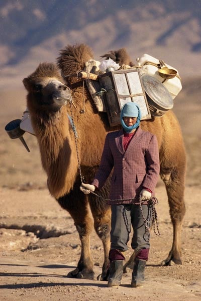 Tuya’nın Evliliği : Fotoğraf Quanan Wang