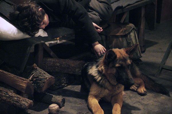 Fotoğraf Danny Lerner