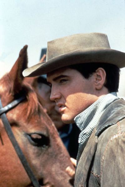 Fotoğraf Elvis Presley