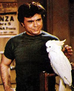 Baretta : Afiş