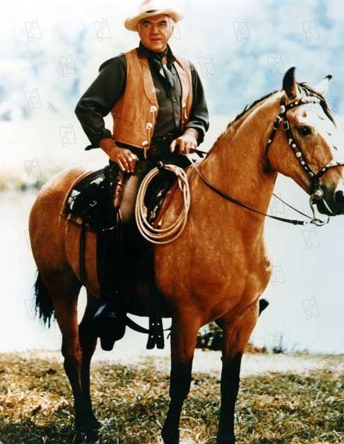 Bonanza : Fotoğraf