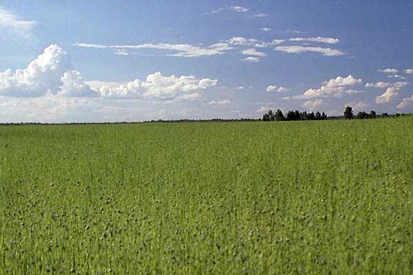 Fotoğraf Davide Ferrario