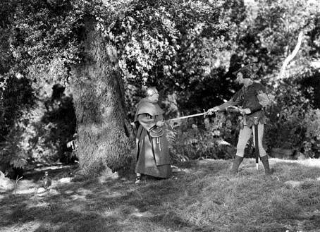 Adventures of Robin Hood, The : Fotoğraf Errol Flynn, Michael Curtiz