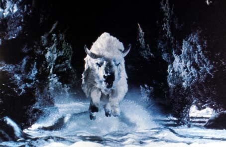 The White Buffalo : Fotoğraf Jack Lee Thompson