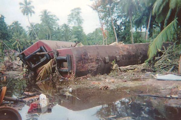 Fotoğraf Alison Thompson