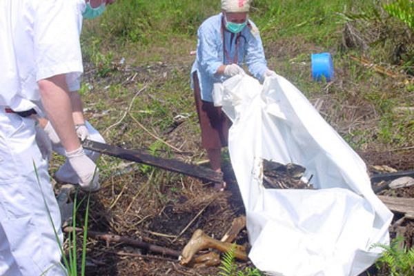 Fotoğraf Alison Thompson