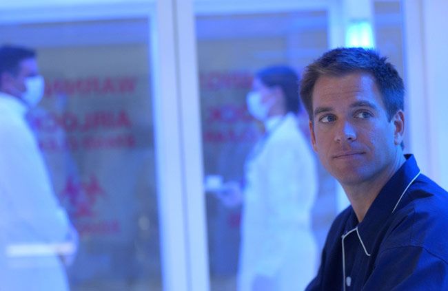 Fotoğraf Michael Weatherly