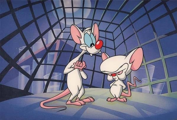 Pinky and the Brain : Fotoğraf