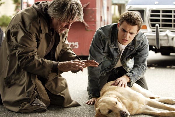 Fotoğraf Paul Wesley, Tom Skerritt