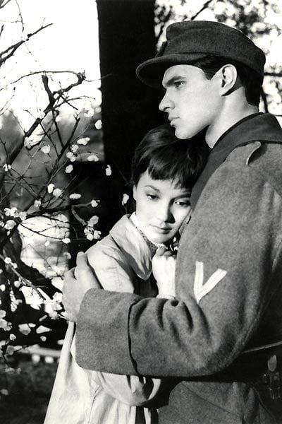 A Time to Love and a Time to Die : Fotoğraf John Gavin, Douglas Sirk