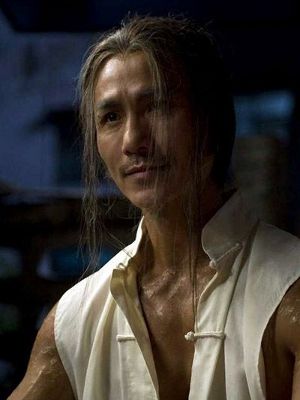 Afiş Robin Shou