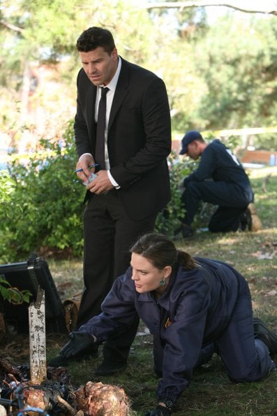 Bones : Fotoğraf David Boreanaz, Emily Deschanel