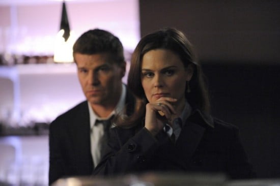 Bones : Fotoğraf David Boreanaz, Emily Deschanel