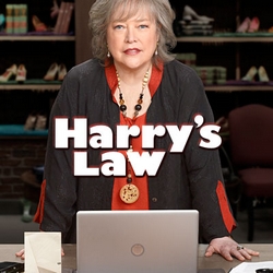 Harry's Law : Afiş